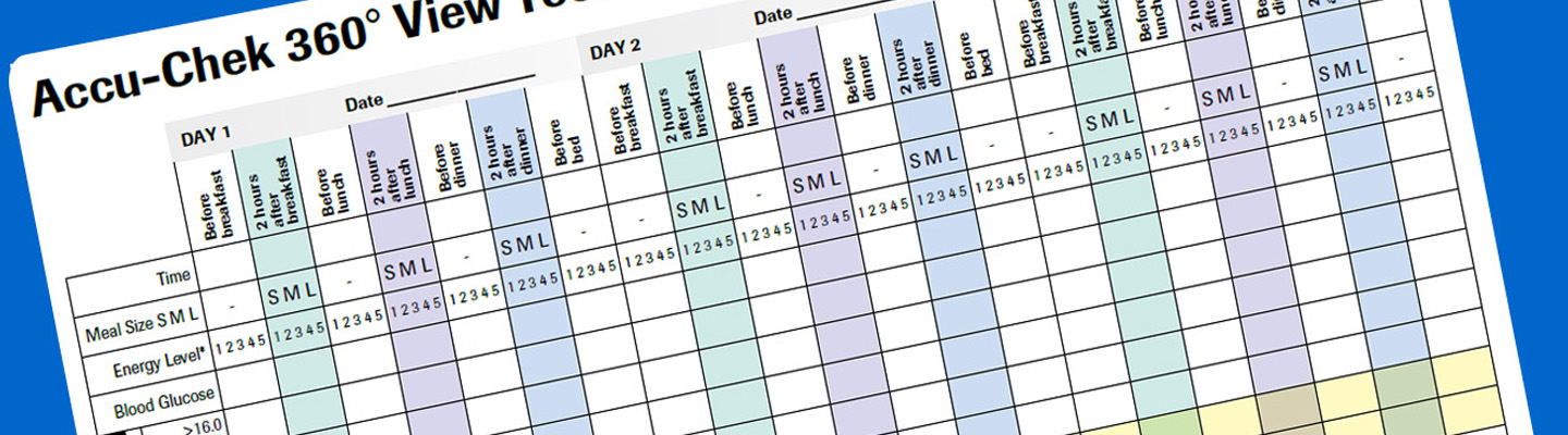 Accu-Chek 360° View tool